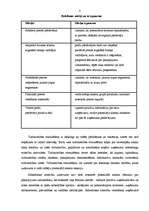Referāts 'Reklāma', 8.