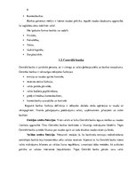 Referāts 'Latvijas Republikas banku sistēma', 6.