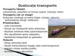 Prezentācija 'Transporta veidi, to raksturojums, salīdzinājums', 3.