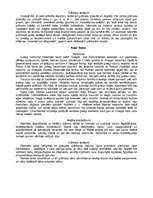 Konspekts 'Senās Grieķijas un Romas lietišķā māksla', 2.