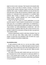 Referāts 'Vēlētāju uzvedības modeļi', 9.