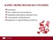 Prezentācija 'B12 vitamīns', 4.