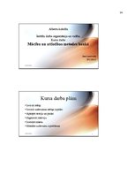 Referāts 'Mācību un attīstības metodes bankā', 34.