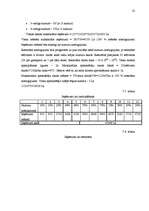 Biznesa plāns 'Biznesa plāns uzņēmumam "Rītausma"', 22.