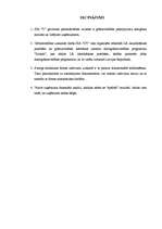 Prakses atskaite 'Kvalifikācijas prakse grāmatvedībā', 22.