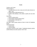 Referāts 'Cilindrs un konuss', 3.