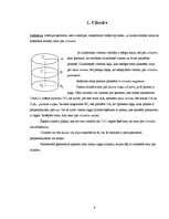 Referāts 'Cilindrs un konuss', 6.