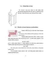 Referāts 'Cilindrs un konuss', 7.