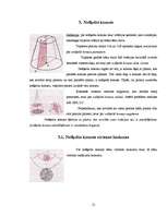 Referāts 'Cilindrs un konuss', 12.