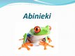 Prezentācija 'Abinieki', 1.