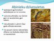 Prezentācija 'Abinieki', 3.