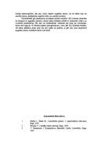 Referāts 'Sekretāres darbs', 12.