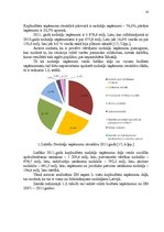 Referāts 'Iedzīvotāju ienākuma nodokļa piemērošana uzņēmējdarbībā', 10.