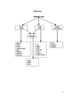 Referāts 'Literatūras veidi, paveidi un žanri. Drāma, komēdija, traģēdija', 11.