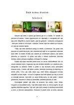 Referāts 'Zaļā krāsa', 9.