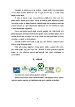 Referāts 'Zaļā krāsa', 11.