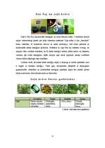 Referāts 'Zaļā krāsa', 12.