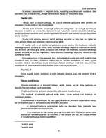 Referāts 'Sods un tā būtība', 6.