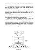 Referāts 'Vasaras miežu elites augu novērtējums dažādās krustojumu kombinācijās', 8.