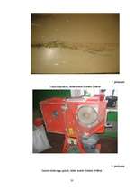 Referāts 'Vasaras miežu elites augu novērtējums dažādās krustojumu kombinācijās', 33.