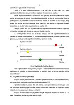 Diplomdarbs 'Neoinstitucionālie vadības mehānismi domstarpību risināšanai, kas pastāv starp n', 22.
