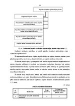 Diplomdarbs 'Neoinstitucionālie vadības mehānismi domstarpību risināšanai, kas pastāv starp n', 23.