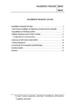 Prakses atskaite 'Mazbērnu prakse pirmsskolas izglītības iestādē', 2.