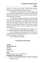 Prakses atskaite 'Mazbērnu prakse pirmsskolas izglītības iestādē', 11.