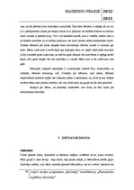 Prakses atskaite 'Mazbērnu prakse pirmsskolas izglītības iestādē', 29.