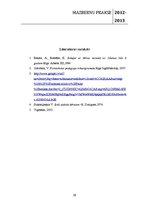 Prakses atskaite 'Mazbērnu prakse pirmsskolas izglītības iestādē', 39.