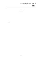 Prakses atskaite 'Mazbērnu prakse pirmsskolas izglītības iestādē', 40.