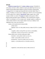 Referāts 'Autobusu darba organizācija pilsētas maršrutā', 3.