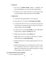 Referāts 'Autobusu darba organizācija pilsētas maršrutā', 24.