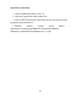 Referāts 'Autobusu darba organizācija pilsētas maršrutā', 40.