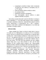 Referāts 'Elektroapgādes sistēmu montāža un ekspluatēšana', 13.