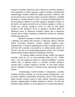 Referāts 'Elektroapgādes sistēmu montāža un ekspluatēšana', 16.