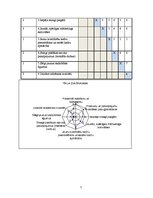 Referāts 'Tirgus ietekmējošo faktoru analīze ražošanas uzņēmumā SIA "XXX"', 7.