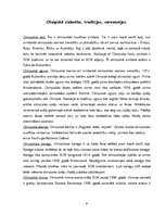 Referāts 'Olimpiskās spēles no vēstures līdz mūsdienām', 9.