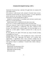 Referāts 'Olimpiskās spēles no vēstures līdz mūsdienām', 17.