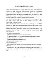 Referāts 'Olimpiskās spēles no vēstures līdz mūsdienām', 19.