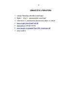 Referāts 'Investīcijas', 17.