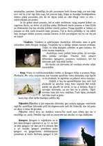 Referāts 'Austrālijas dzīvnieki', 3.