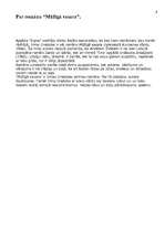 Referāts 'Irma Grebzde “Mūžīgā vasara”', 6.