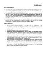 Referāts 'Irma Grebzde “Mūžīgā vasara”', 7.