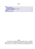 Referāts 'Franku kristianizācija 5.-6.gadsimtā', 2.