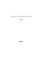 Eseja 'Domāšanas process. Domāšanas pamatoperācijas', 1.