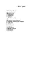 Konspekts 'Enerģijas izmantošana un taupīšana', 11.