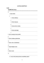 Referāts 'Zīmols kā ierocis mārketingā', 2.