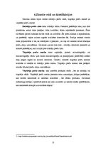 Referāts 'Zīmols kā ierocis mārketingā', 13.