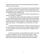 Eseja 'Lielveikalu patērētāju kultūras īpašības', 5.